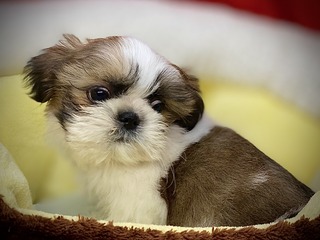 0EE91F21-6B81-43AA-B02E-1B23B0E53D2F