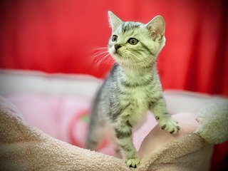 F040CB39-7A00-4AE0-BA82-10DEF000570B