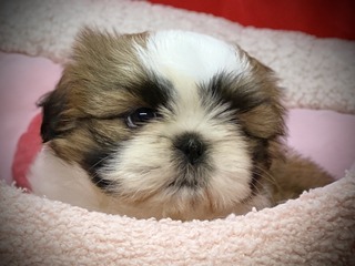 6C21D2C0-3A02-4109-AC6E-499A790BFED4