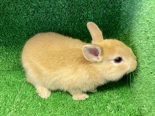 141B453E-96CE-4B45-836F-88CA2C82A159