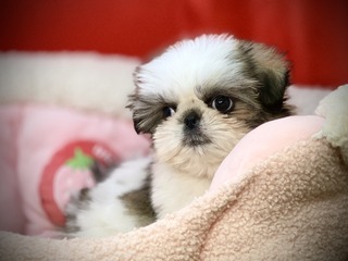 D9B6FBAF-F128-4C85-ACF5-D8BBC2CCF5D0