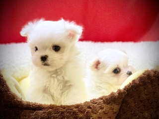 5AD1A72D-6722-42DB-B966-198C4C24B2F9