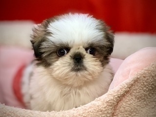 7E04871C-C79A-4A64-B762-40919F8BF4CE