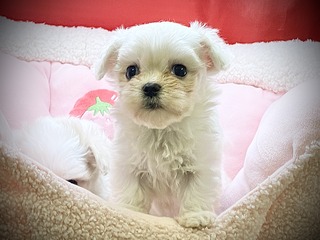 5AF091DE-C9B7-4396-8918-B614EB661D61