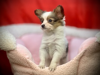 5922A455-215B-4B90-AA20-28ED0A0E48E2