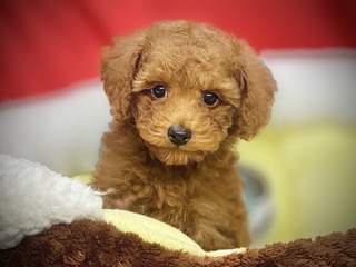 D4A6993C-DD1D-466A-AB29-7B4064C5DB01