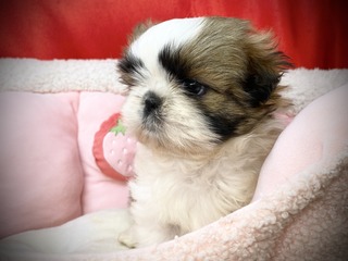 15D8F197-0C26-4BDE-9F8F-237C4F6C7EB2