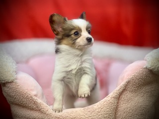 496A63B3-7E06-46F6-BD73-879580BB9E07