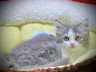 072EB28C-1737-409E-BD08-99E28CDFD51E