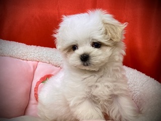 80526057-3CFD-473C-B229-865CEE3D88B5