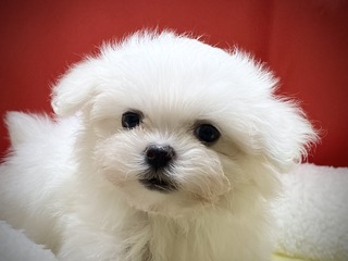 3D331D9F-90EF-4EF2-AAE8-47009C529DAD