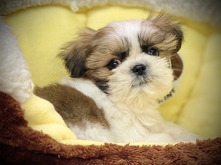 DFB09CD2-EF08-446E-81FE-E34C180ECE79