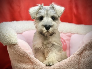 2E01C74A-1DEF-450B-B41C-6FAD43D604CB