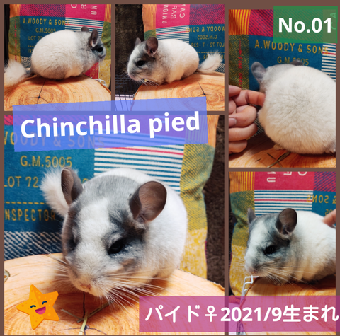 Screenshot_20220120-211811_(1)