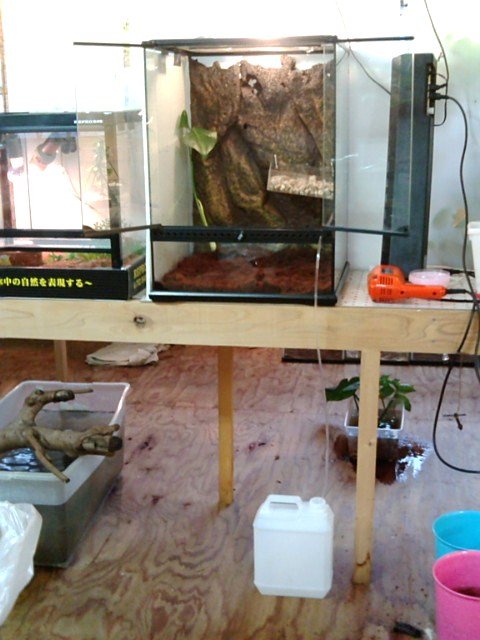 ビバリア飼育ケージでの給水設備001 : ペットショップレオンの日記