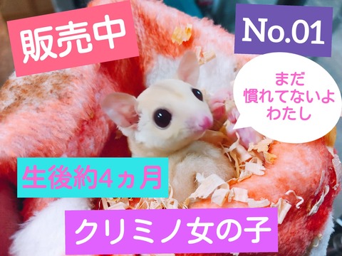 IMG00613_kindlephoto-35532460