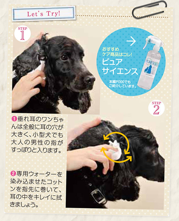 垂れ耳のワンちゃんは内 外耳炎などの耳のトラブルに注意 間違いだらけのペットケア ペットケア研究所のケア理論 研究者のブログ 垂れ耳のワンちゃんは内 外耳炎などの耳のトラブルに注意 間違いだらけのペットケア ペットケア研究所のケア理論 研究者のブログ