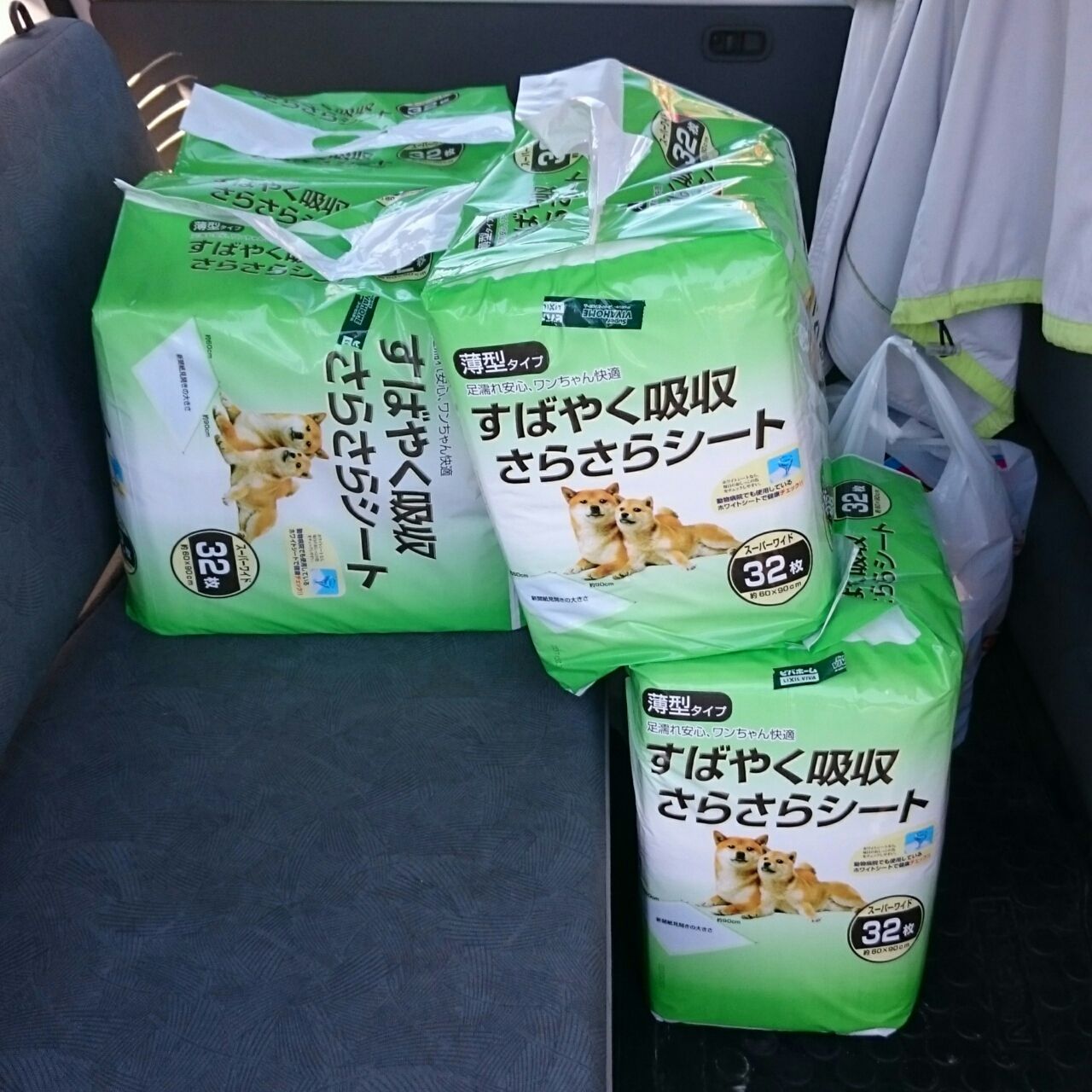 長久手市のビバホーム P S うめひめ