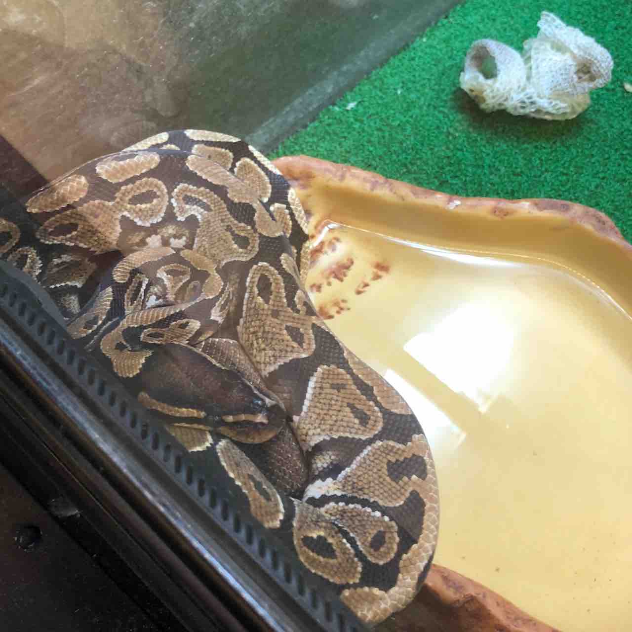 瀬戸市のカーマホームセンター P S うめひめ