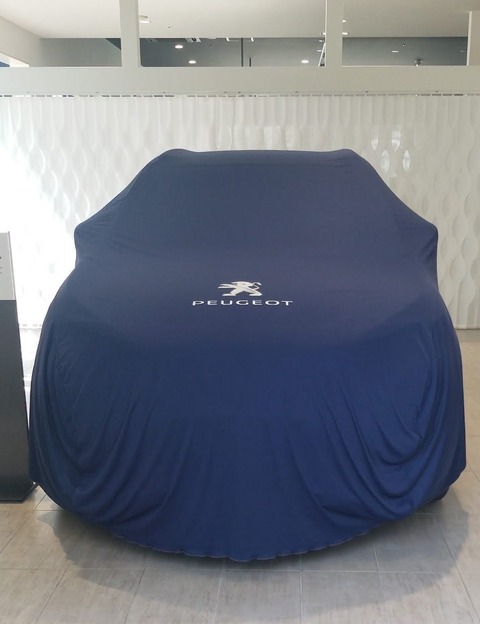 Screenshot_20190731-101242_Video Player