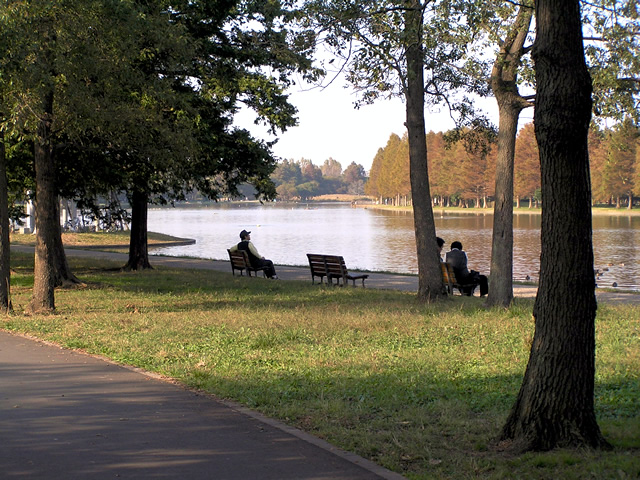 東京周辺さんぽ 水元公園