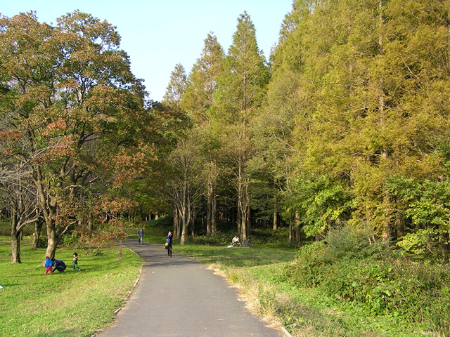 東京周辺さんぽ 水元公園