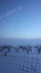 2017-01-29-07-41-08