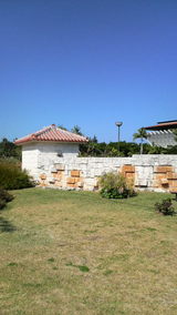 235a9805.jpg