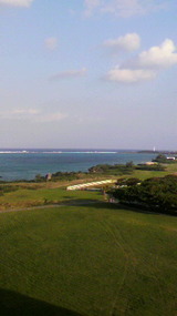 d403eb43.jpg