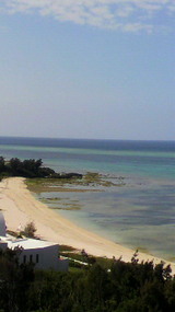 ef12158c.jpg