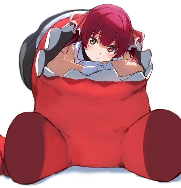 pfch014