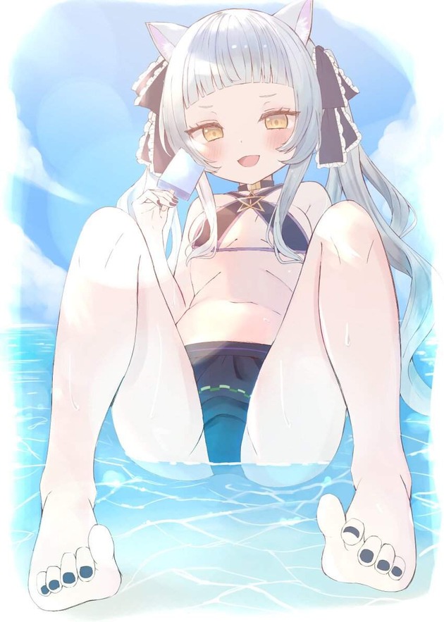 pfch014