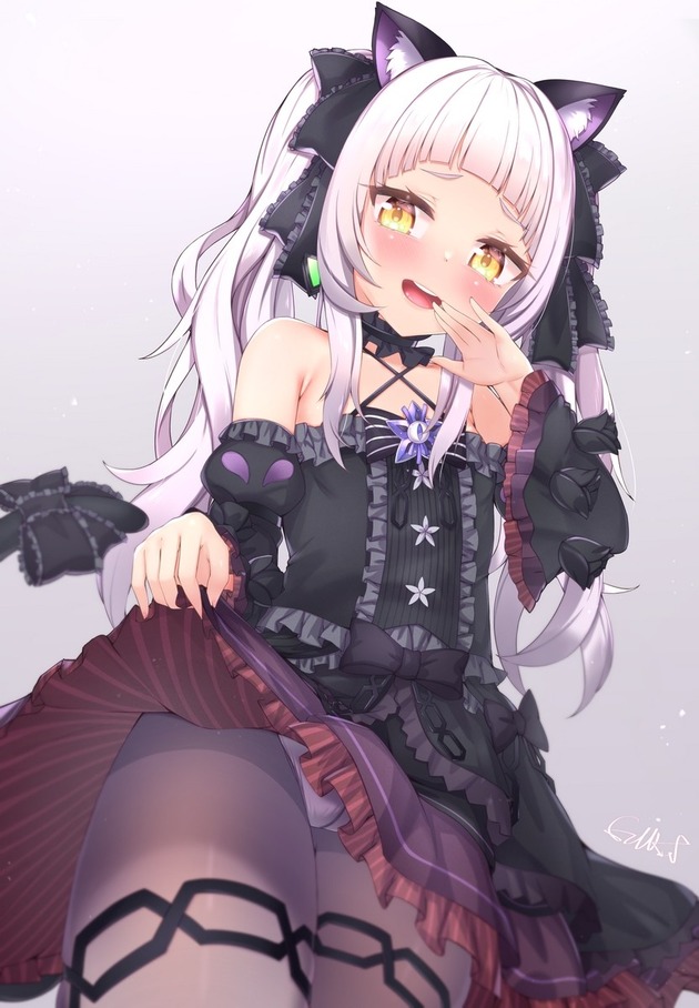 pfch013