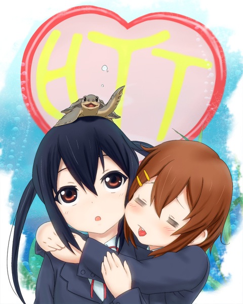 pfch17