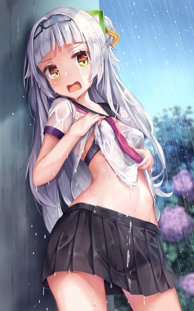 pfch004