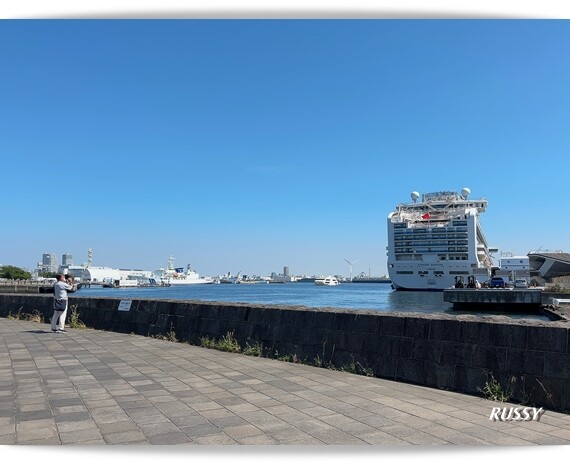 IMG-3233