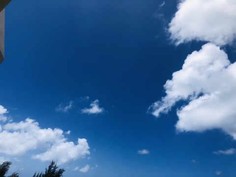 5日目昼食の空