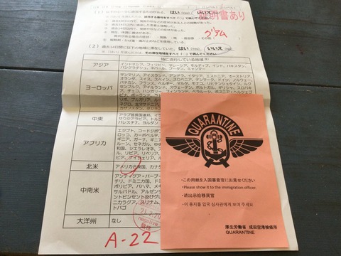 一時帰国11