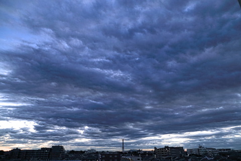 IMG_0290_2_1