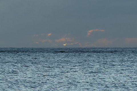0I8A0463