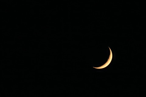 IMG_0219T