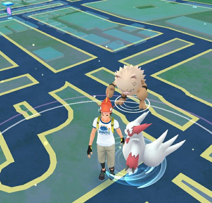 ポケモンgo ザングースって日本しかでないとすると 色違いって世界的に見ればレア