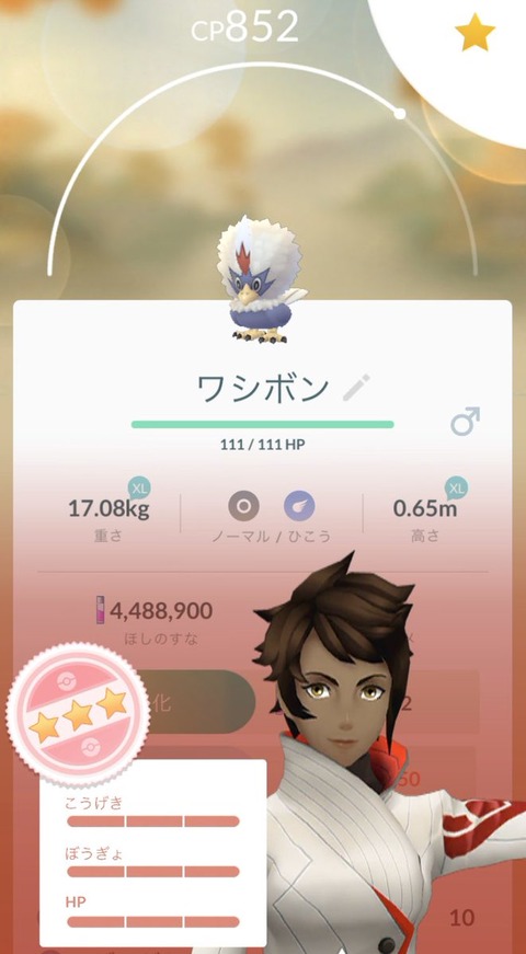 四天王シバ 格闘使いとして四天王担当することになったけどポケモン何にしよか