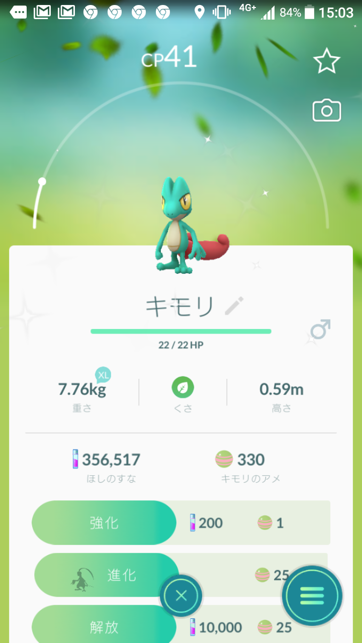 ポケモンgo みんなはキモリゲットできたかなあああ カイオーガch ポケモンgo攻略まとめ速報