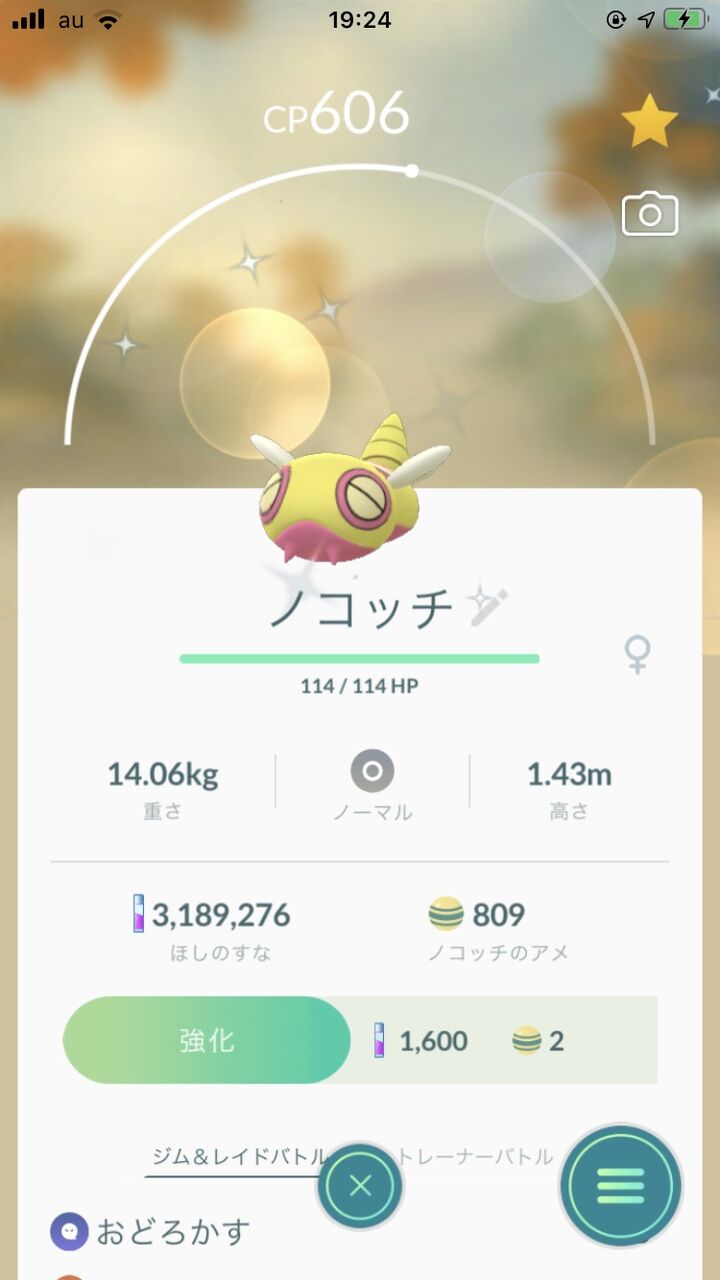 ポケモンgo ノコッチって普段はラッキー並みにレアなのに通常確率
