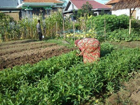 ���Ϥ������