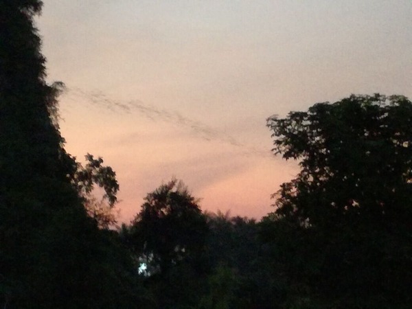 IMG_20191110_175633_resized_20191113_031424501