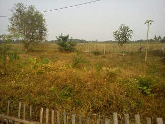 �������ζ�����