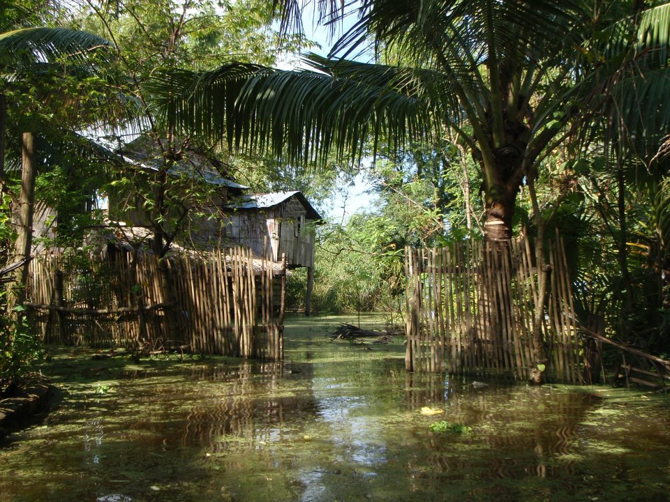 316214_171652662921694_140025342751093_361284_700403398_n