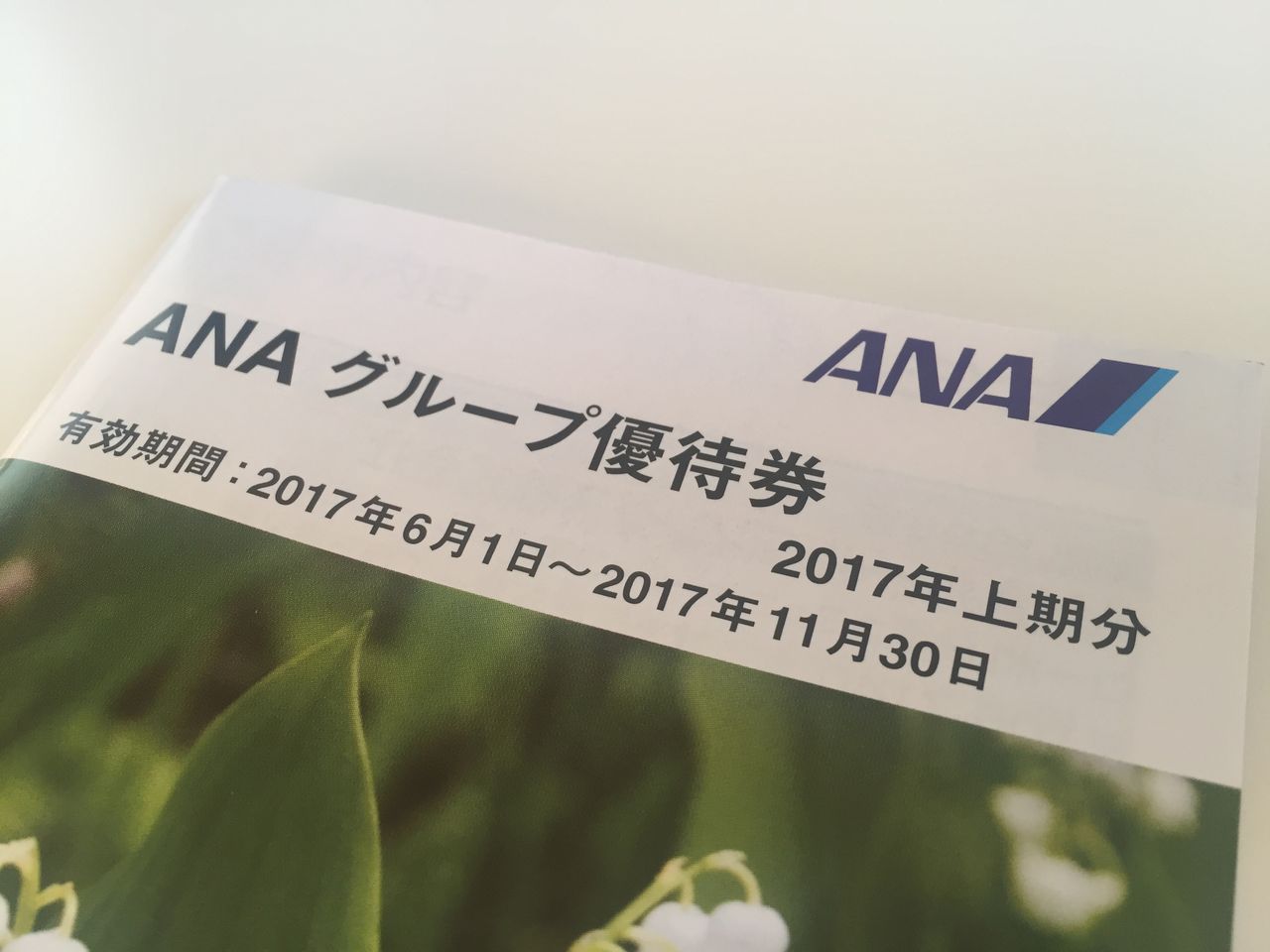 クロス取引でanaの株主優待券を手に入れた 投じた費用はわずか685円 フィリピン永住権取得の道